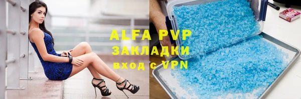 ПСИЛОЦИБИНОВЫЕ ГРИБЫ Новокубанск