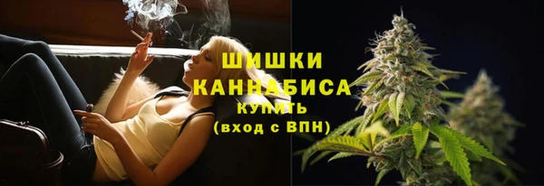 ПСИЛОЦИБИНОВЫЕ ГРИБЫ Новокубанск