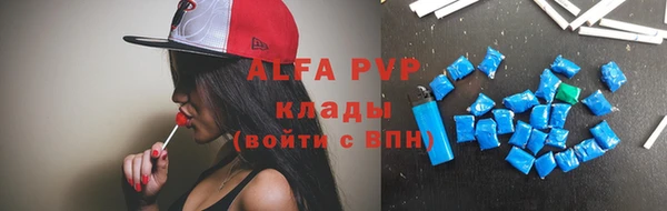 ПСИЛОЦИБИНОВЫЕ ГРИБЫ Новокубанск